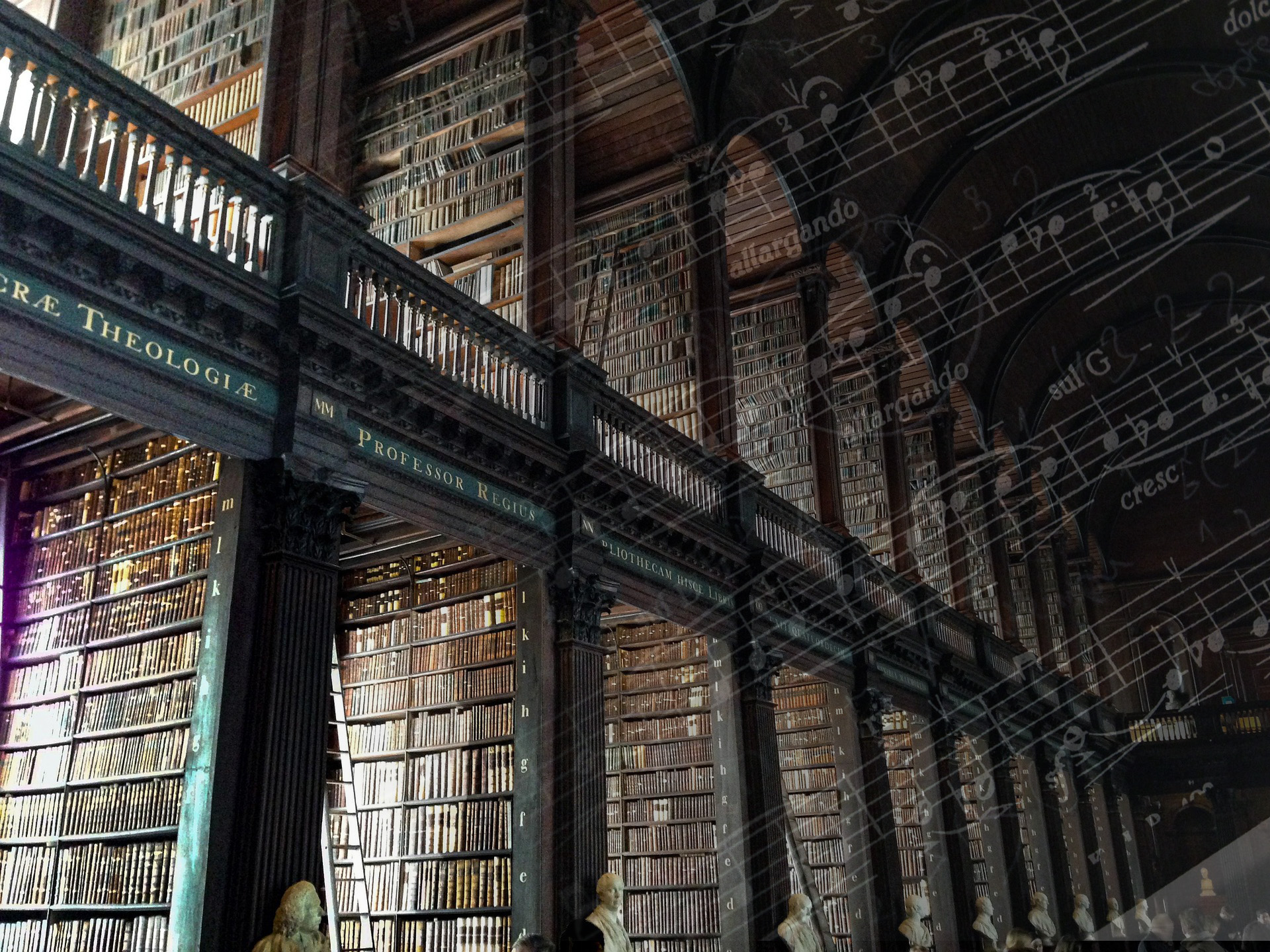 Muzyk w Bibliotece Akademickiej – o wykorzystaniu bazy EBSCO w badaniach muzycznych